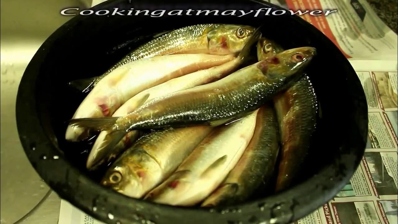 How to clean sardines YouTube