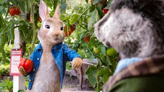 The Thief Of The Tomatoes | Peter Rabbit 2: The Runaway by Animation Society 1,147 views 2 weeks ago 4 minutes, 59 seconds