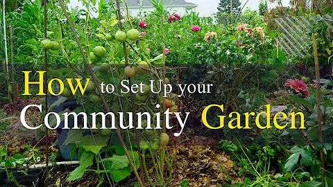 How to Set up Your Community Garden Plot in 2022 - DayDayNews