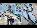 May Fishing | BLUEFIN TUNA Sportfishing San Diego | YELLOWTAIL Baja | LINGCOD Northern California