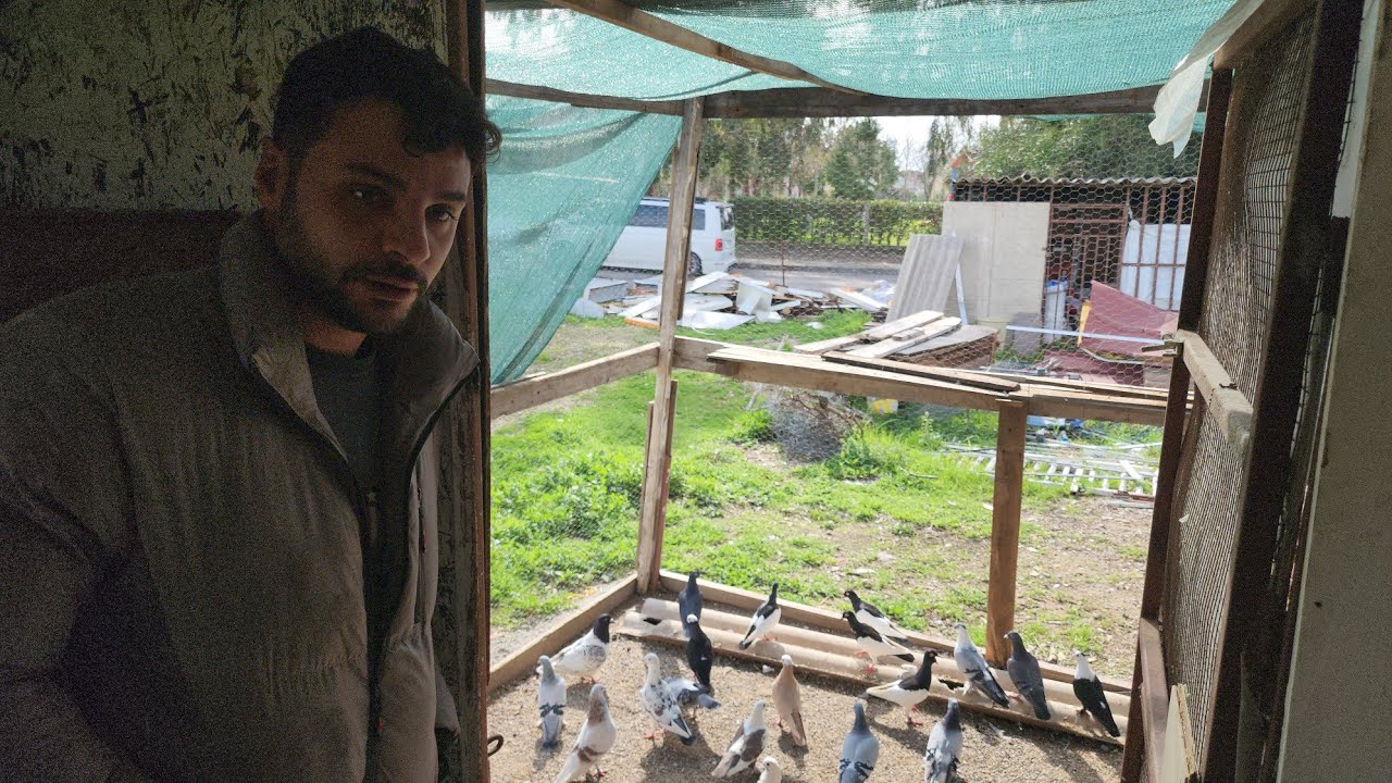 Mehmet Hocanın Kümesindeyiz, Kuş, Eşhane Kümes Ne Ararsan Var