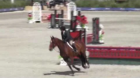 Video of COBELLINI 'F' Z ridden by Jennifer Ritucc...