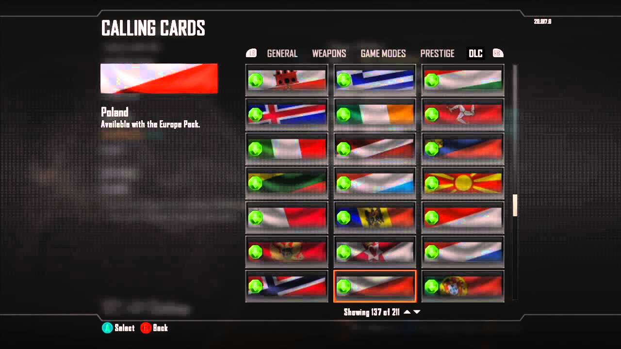  Call of Duty: Black Ops II - European Flags of the World  Calling Card Pack [Online Game Code] : Everything Else