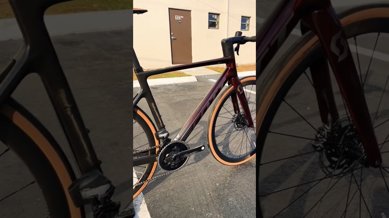 Blood RED SCOTT ADDICT 