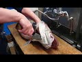 Satisfying Fish Filleting Video