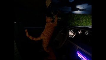 [Random Indie Games] Nip For Speed!