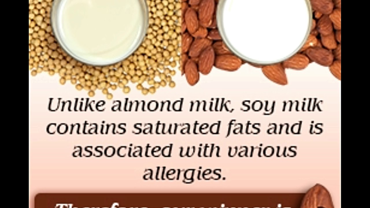 Almond Milk vs Soy Milk The Kitchen Community
