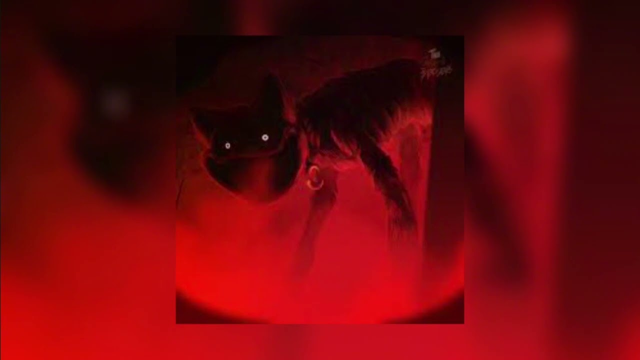 Sleep well (slowed + reverb) Credit to CG5￼