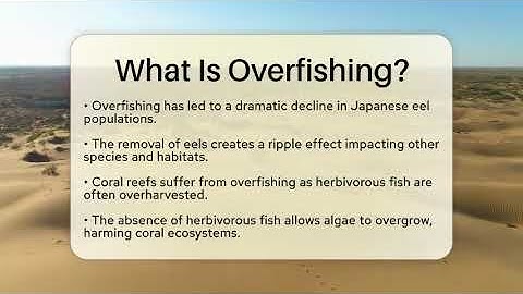 What Is Overfishing? - Ecosystem Essentials