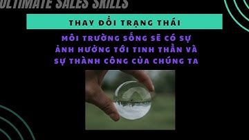 BÀI 3: HỌC, HỌC NỮA, HỌC MÃI (Sales and Mindset Training)