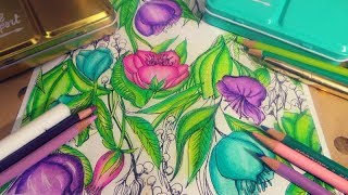COLOR WITH ME IN DOLLAR TREE ADULT COLORING BOOKS PT 1