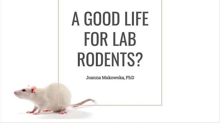 3Rs Training Webinar: A Good Life for Laboratory R...