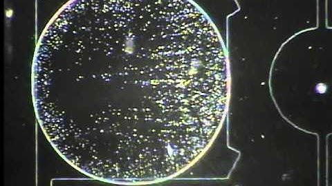 Magnetic Particles Concentration