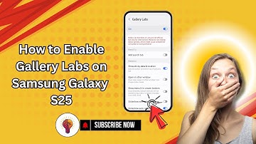 How to Enable Gallery Labs on Samsung Galaxy S25 (2025) | Unlock Secret Gallery Settings!