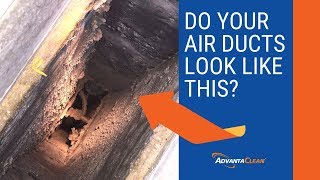 Should i clean my air ducts? the advantaclean duct cleaning services
is performed in accordance with national cleaners associate (nadca).
do...