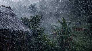 REAL Heavy Rain in a Tropical Village 🌧️ Most People Fall Asleep Before It Ends