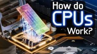 Technological DNA The Architecture and Evolution of CPUs
