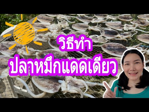 วิธีทําปลาหมึกแดดเดียว ทำง่ายๆ แค่ใช้ซอสปรุงรส / Seafood