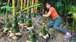 Harvesting Many Big Bamboo Shoots - Goes To Market Sell | New Free Bushcraft