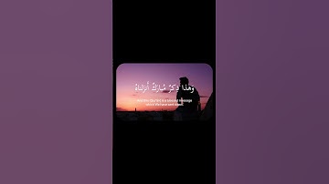 تلاوة خاشعة تهز القلوب | الذين يخشون ربهم بالغيب 📖 بصوت إسلام صبحي