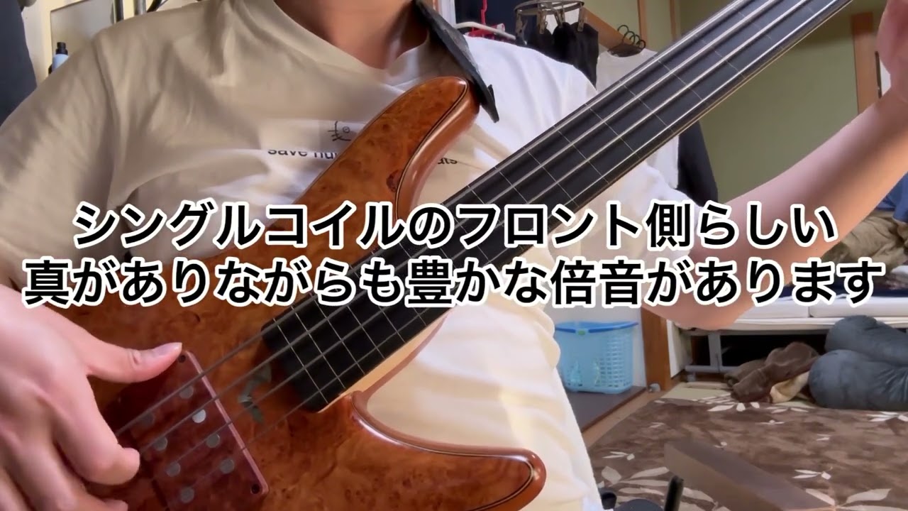 REVIEW】[MNG]Sugi NB4EFLHJ #sugi #basslover #fretlessbass