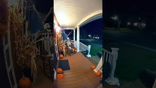 Bear Did Not Expect This