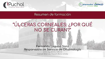 Como tratar úlcera ocular em cães?