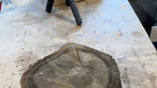 Live-Tree ring print