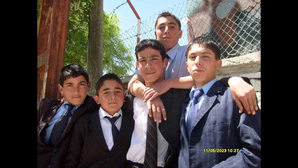 şahin ASLAN VAN GÜRPINAR ATATÜRK İ Ö O 2007 2008 SLAYT