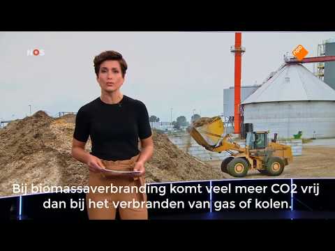 NOS - PBL onderzoek over biomassa slaat plank volkomen mis