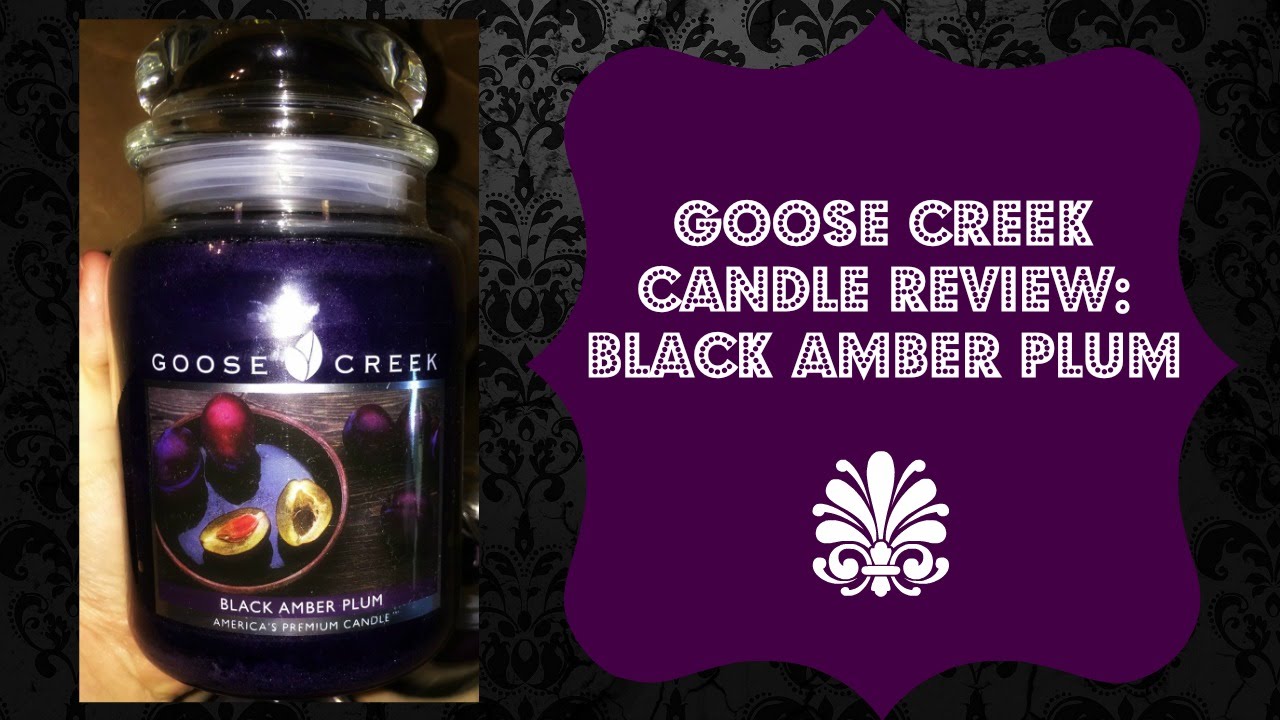 Goose Creek Candle Review Black Amber Plum YouTube