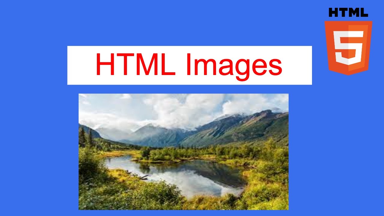 How to insert images in HTML - YouTube