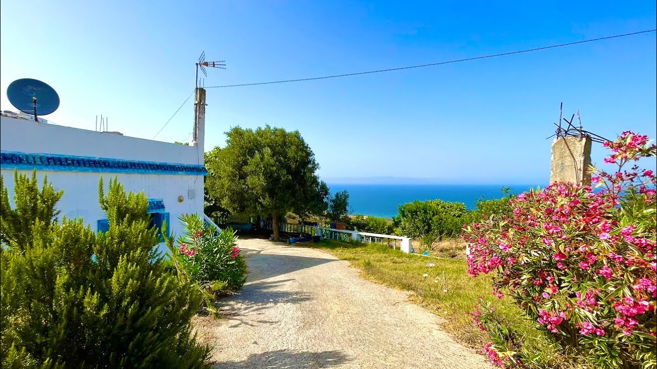 فيرما محفضة راءعة مليئة باشجار الفواكة وصالحة لمشروع مساحة 2500نتر0703640826مابن طنجة والقصر الصغير