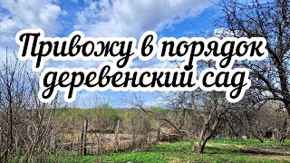 Привожу в порядок деревенский сад 🌳🌷