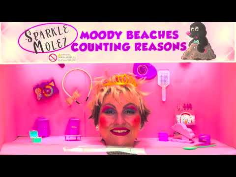 Moody Beaches - Counting Reasons (Official Music Video)