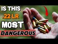 The .22 LR: Why America's Smallest Bullet is its Most Dangerous!!