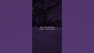 واستغفر الله إن الله كان غفورا رحيما | الآية 106 من سورة النساء #قران_كريم #ياسر_الدوسري