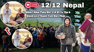 Thầy Minh Tuệ Mới Nhất - Diễn Biến Hôm Nay Như Thế Nào 12/12 Xạ Thu Xạ Thu