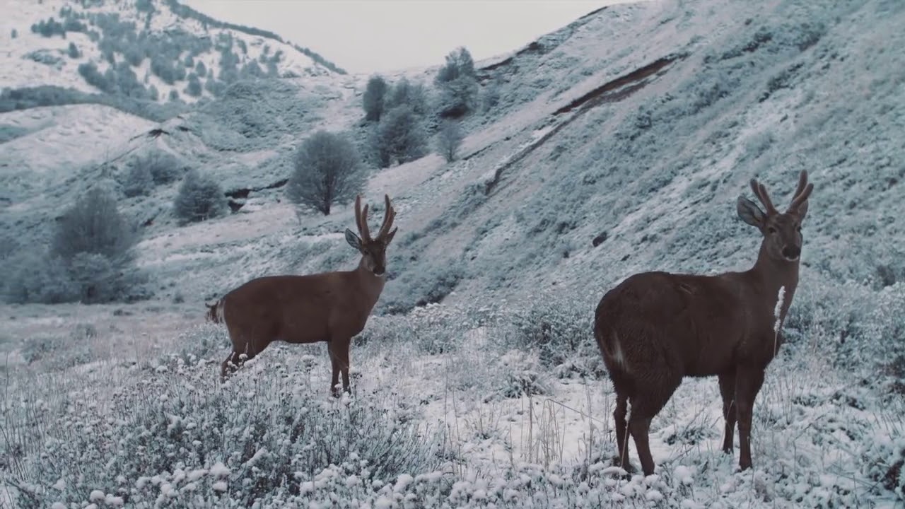 DISCOVER CHILE - Incredible Tours and Adventures in Chile by SMS Frankfurt Group Travel 