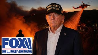 ‘PROFOUND EFFECT’: Trump’s role in the Palisades fire rebuild EXPOSED