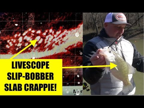 How to catch Crappie with Garmin LiveScope and Slip Bobbers