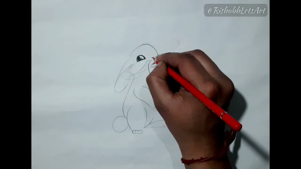 Learn to draw outline sketch of rabbit || Outline sketch 