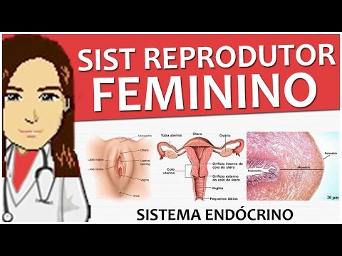 Vídeo: Vagina: Definição, Anatomia, Função, Diagrama E Condições