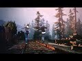 Life is strange musics