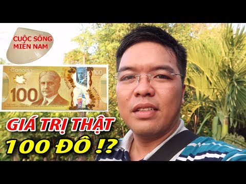 100 Đô về Việt Nam có giá trị như thế nào ? Nam Việt 387