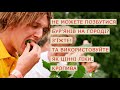 Не можете позбутися бур&#39;янів на городі  З&#39;їжте  Та використовуйте як цінні ліки  Кропива