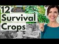 12 SURVIVAL CROPS to Grow Now for Hard Times