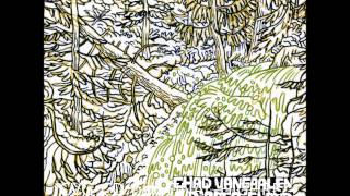 Video thumbnail of "Chad VanGaalen - No Panic/No Heat"