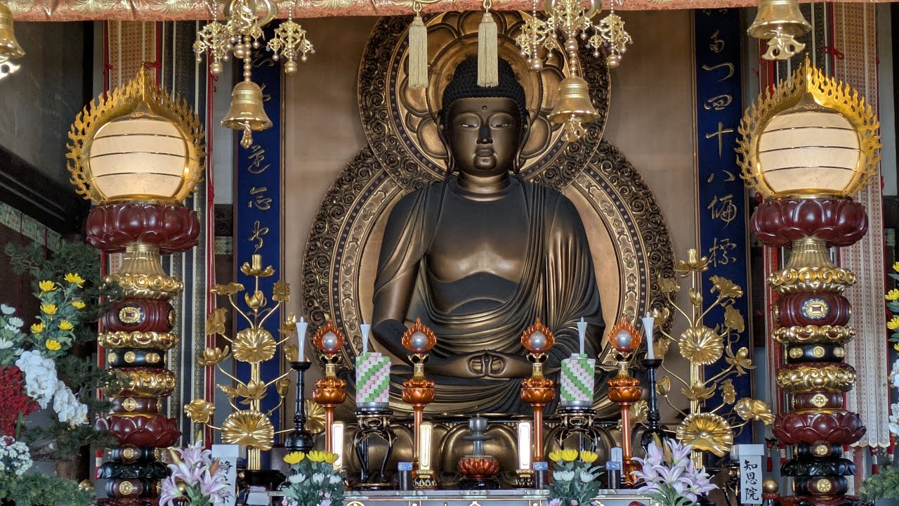 名古屋三大仏・美しい阿弥陀如来像 雲心寺を「ぶらヒロシ」