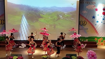 Họa My Vàng - Trường Tiểu Học Thị Trấn Tiên Yên